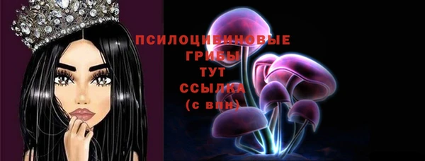 дмт Баксан